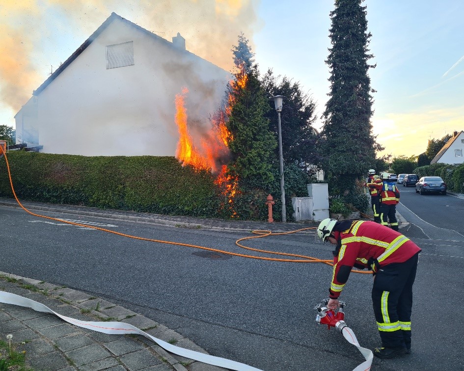 20250429_193956_resized(1) zugeschnitten.jpg